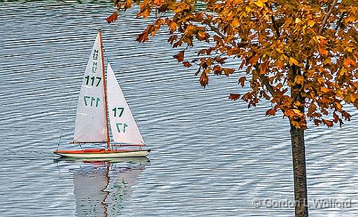 RC Model Yacht_DSCF5343.jpg - Photographed at Andrew Haydon Park in Ottawa, Ontario, Canada.